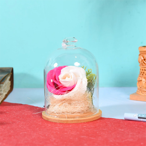 ETERNITY COLORFUL ROSES IN GLASS JAR WITH LED LIGHTS